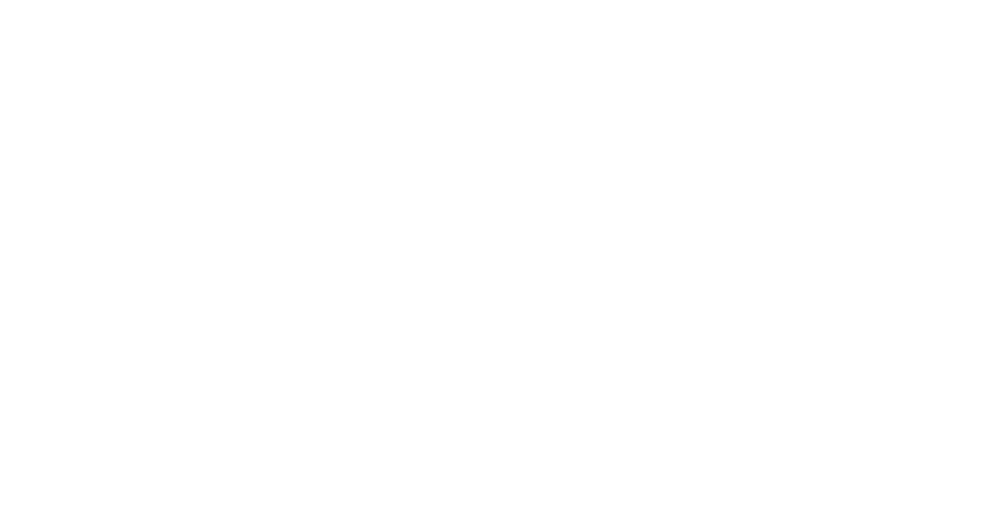Sophia's Bat Mitzvah